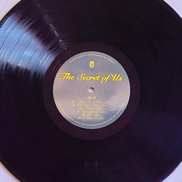 Gracie Abrams : The Secret Of Us (LP, Album, Pur)