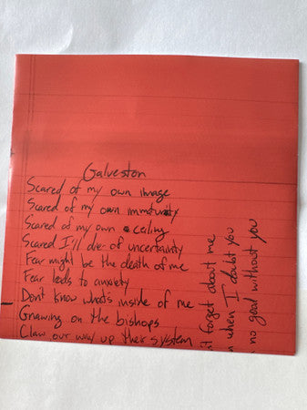 Twenty One Pilots : Doubt (Demo) (7", S/Sided, Single, Etch, Ltd, S/Edition)