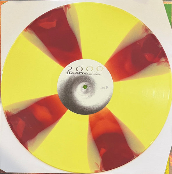 Fleshwater : 2000: In Search Of The Endless Sky (12", Album, Ltd, Lig)