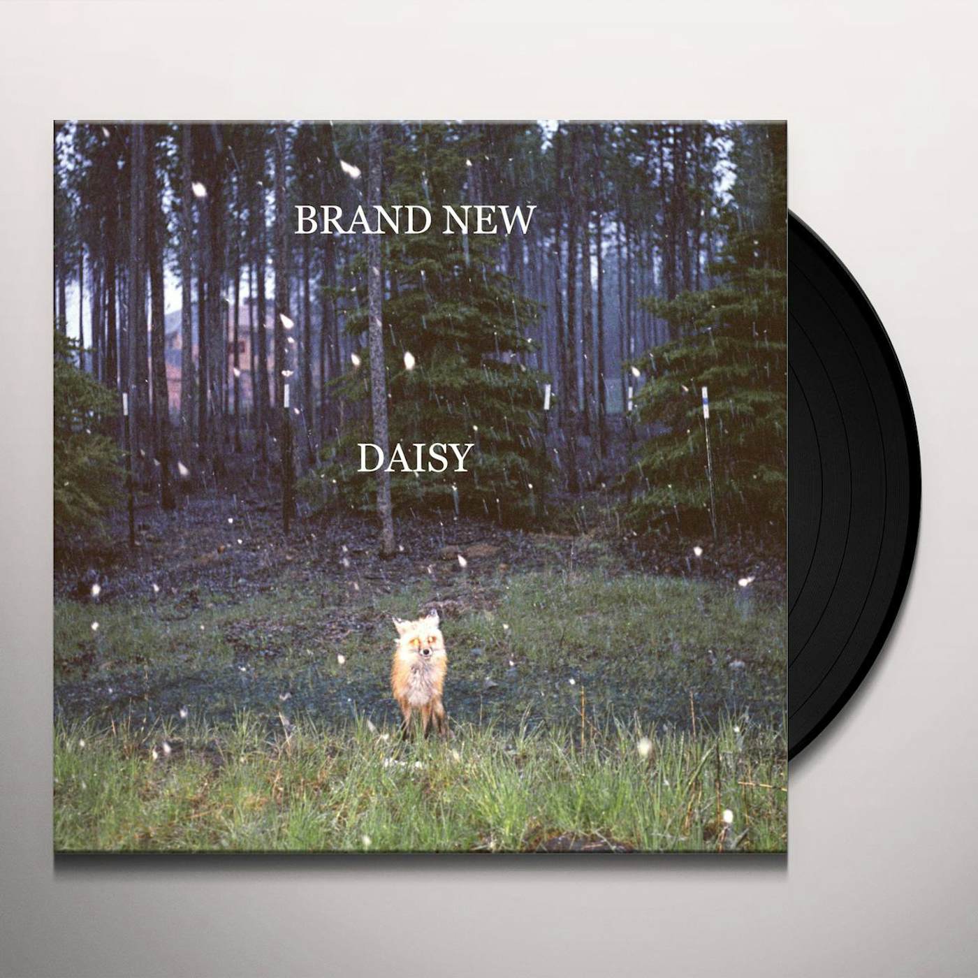 [DAMAGED] Brand New - Daisy LP