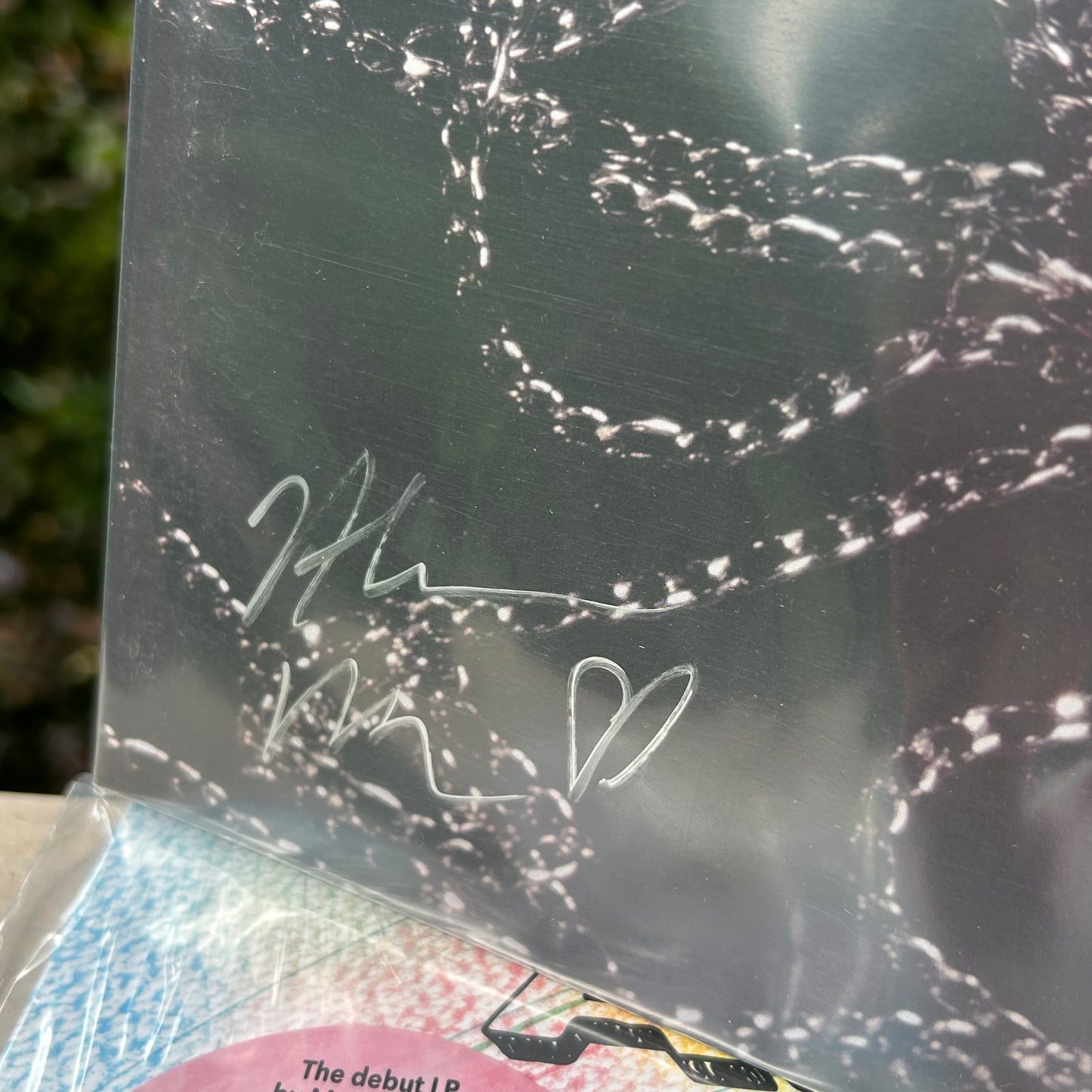 SIGNED Tennis - Face Down In The Garden Limited Edition Cobalt Vinyl Record LP
