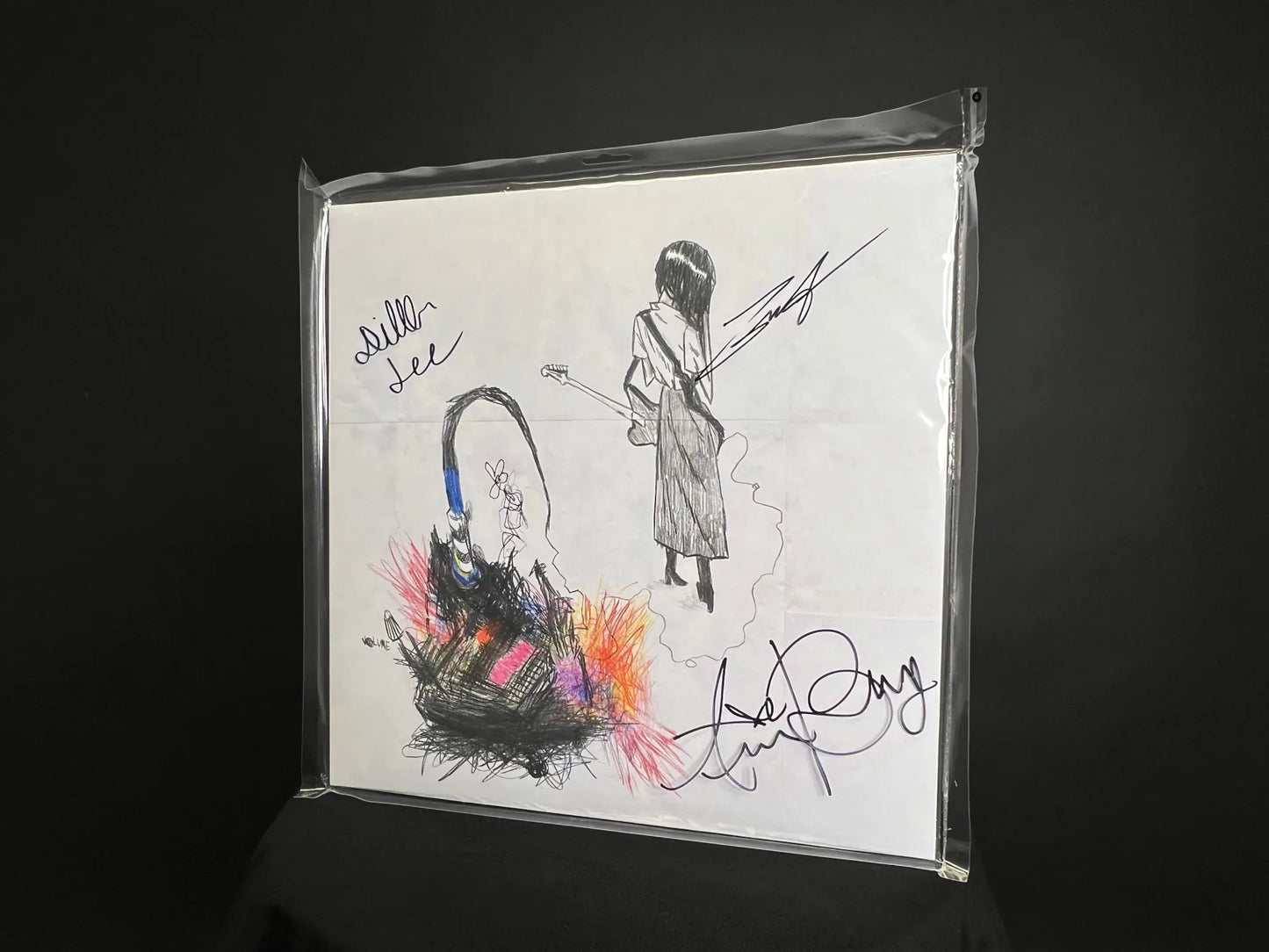 SIGNED julie - My Anti-Aircraft Friend Limited Edition Vinyl Record LP