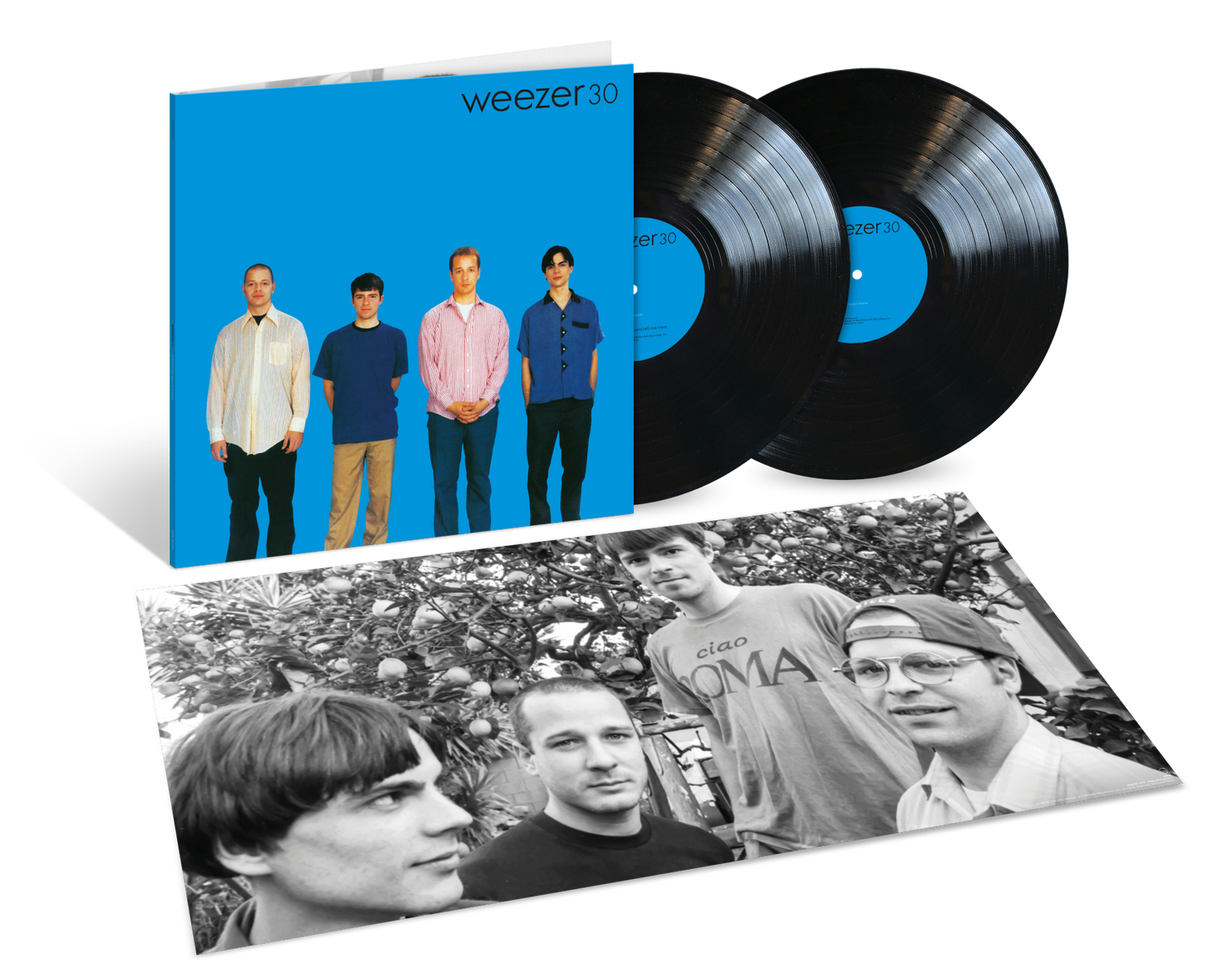 Weezer - Weezer (Blue Album) 30th Anniversary Limited Edition Half-Speed Mastered Vinyl Record 2LP