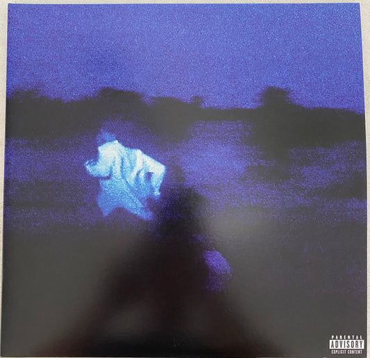 Daniel Caesar (2) : Never Enough (2xLP, Album, Ora)