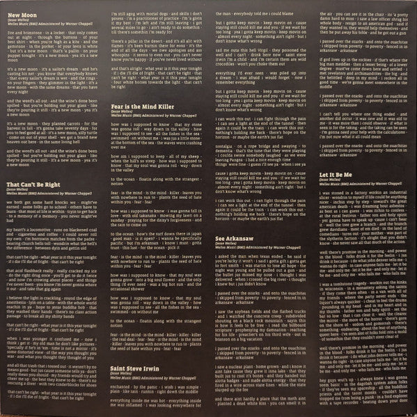 Jesse Welles : Patchwork (LP, Album)