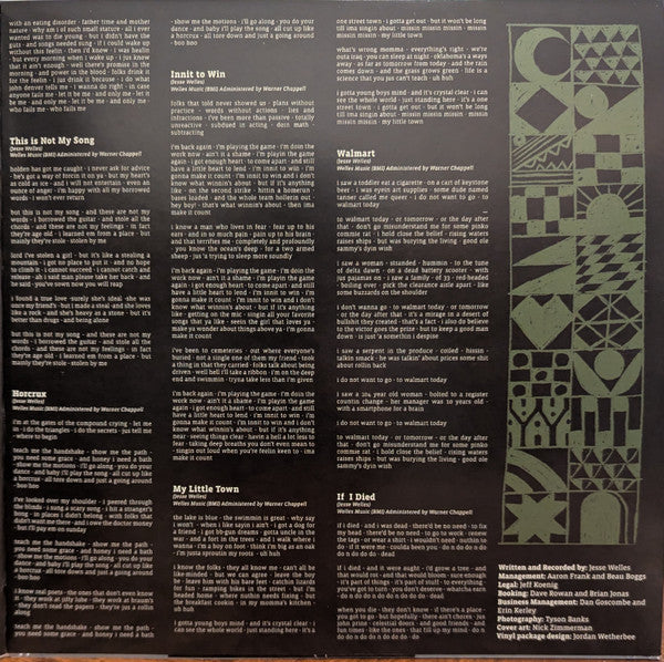 Jesse Welles : Patchwork (LP, Album)