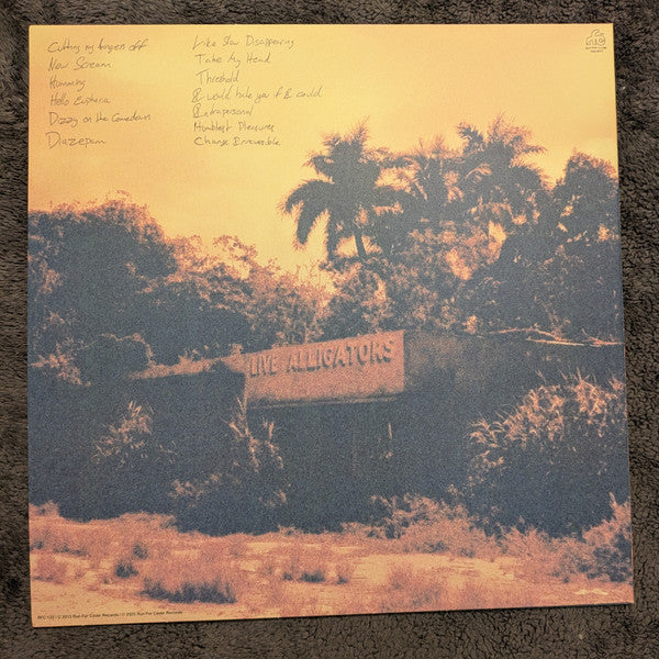 Turnover (3) : Peripheral Vision (LP, Album, Ltd, Lag)