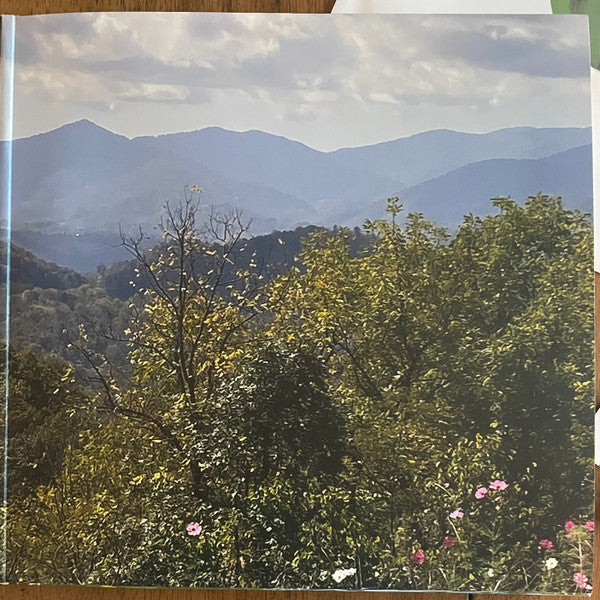 Lil Ugly Mane : Volcanic Bird Enemy And The Voiced Concern (2xLP, Album, Ltd, RP, Whi)