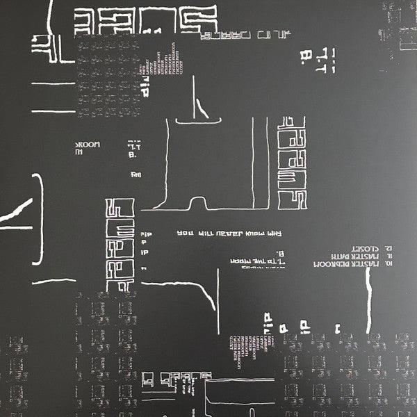 Sweet Trip : You Will Never Know Why (2xLP, Ltd, Nat + Album, Ltd, RE, RM, Ori)