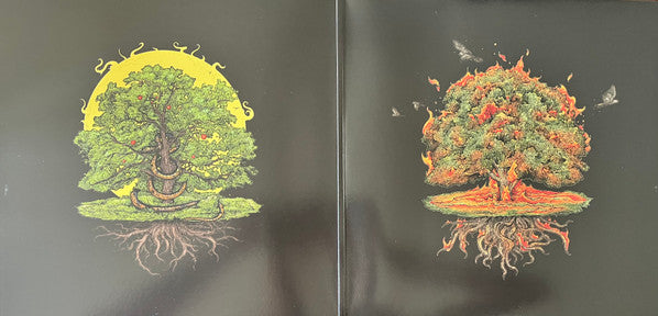 PhaseOne (2) : Terranova (LP, Album, Bioplastic, Ltd)