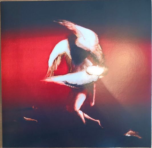 Maruja (2) : Pain To Power (LP)