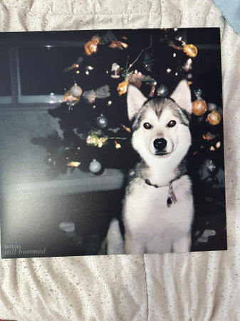 Nouns : Still Bummed (LP, Album, Ltd, RE, RM, Red)