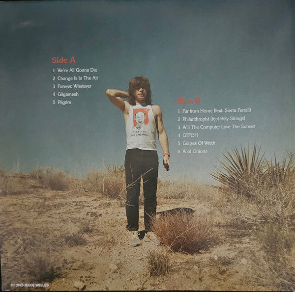 Jesse Welles : Pilgrim (LP, Album)