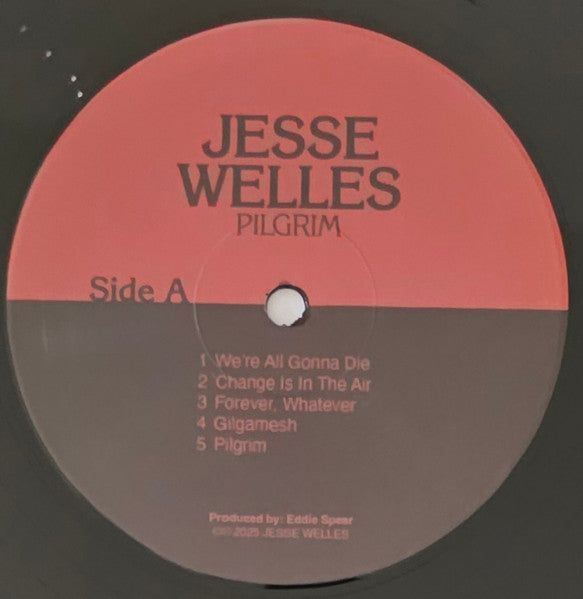 Jesse Welles : Pilgrim (LP, Album)