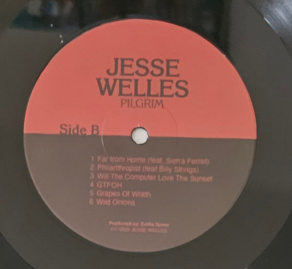 Jesse Welles : Pilgrim (LP, Album)
