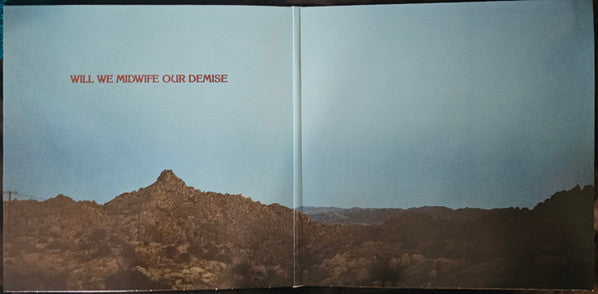 Jesse Welles : Pilgrim (LP, Album)