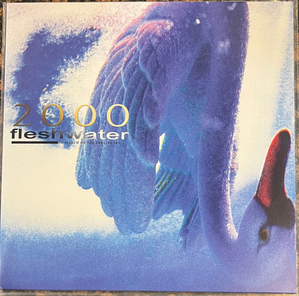 Fleshwater : 2000: In Search Of The Endless Sky (12", Album, Ltd, Lig)