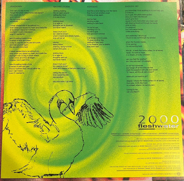 Fleshwater : 2000: In Search Of The Endless Sky (12", Album, Ltd, Lig)
