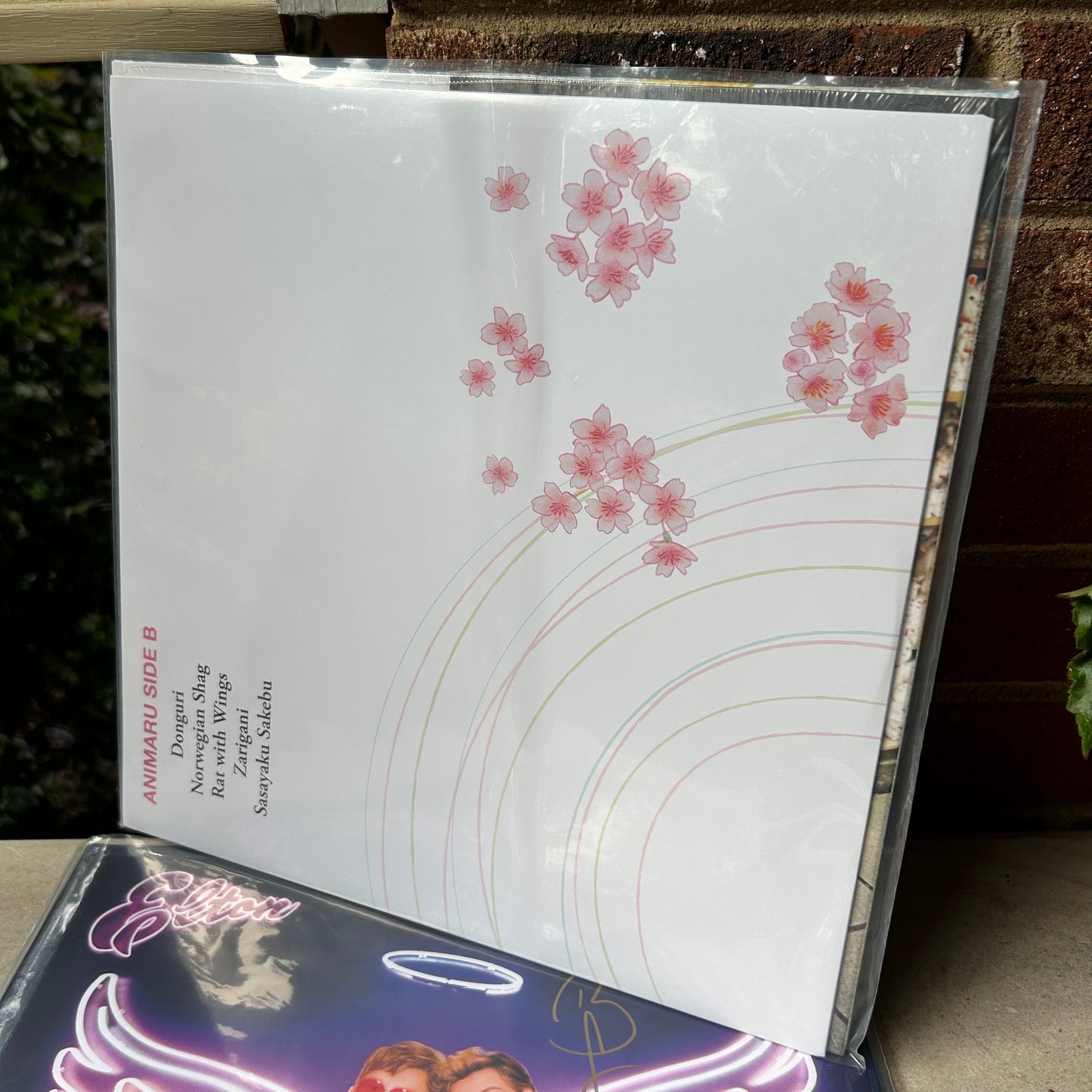 SIGNED Mei Semones - Animaru Limited Edition Marble Vinyl Record LP